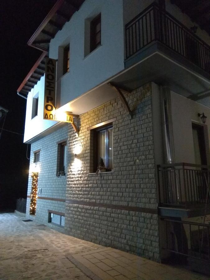 Anostro Metsovo Exterior photo